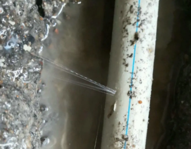 镇平测漏水哪家好