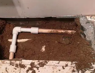 镇平测漏水哪家好