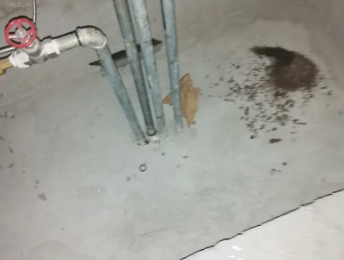 镇平卫生间测漏水价格明细