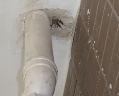 镇平漏水检测哪家好